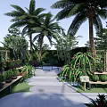 Tropical Garden Landscape With Palm Trees Various Plants Pathway Benches And Plant Shelves