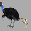 Adult Cassowary With Blue Head And Red Wattle Standing Next To Striped Chick