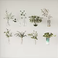 Various Glass Vases With Greenery And Flowers For Wall Decoration