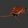 Orange Cockroach With Black Head Long Antennae And Multiple Legs On Dark Background