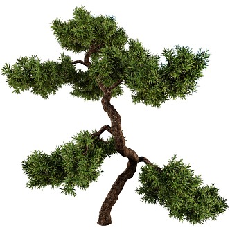 plant green plant trees big tree pine tree 3d model