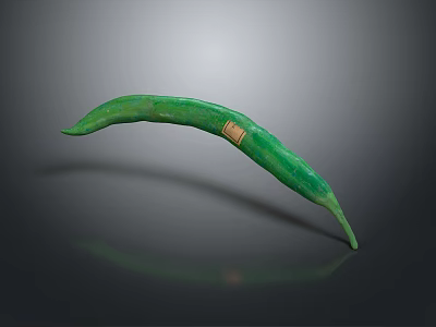 Long Fresh Green Bean With Small Square Label On Gray Shiny Surface 3d model