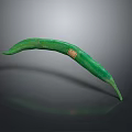 Long Fresh Green Bean With Small Square Label On Gray Shiny Surface