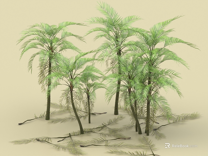 Lush Green Palm Trees with Long Fronds and Slender Trunks on Ground 3d model 