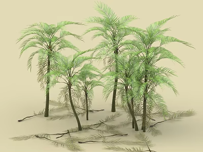 Lush Green Palm Trees with Long Fronds and Slender Trunks on Ground 3d model