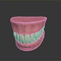 Game Movie Character Teeth Model Featuring Realistic White Teeth And Pink Gums
