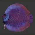 Vibrant Tropical Fish with Pink Purple Blue Striped Body and Shiny Fins on Dark Background