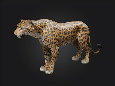 Realistic 3D Leopard Model With Spotted Fur Standing On Black Background 3d model