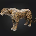 Realistic 3D Leopard Model With Spotted Fur Standing On Black Background 3d model