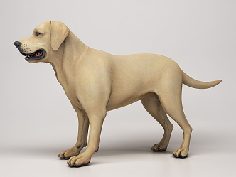 The Modern Dog 3d model