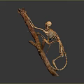 Detailed Mantis Skeleton Clinging to Natural Tree Branch with Realistic Features