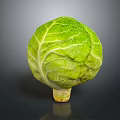 Fresh Green Cabbage with Crisp Textured Leaves on Dark Reflective Surface 3d model