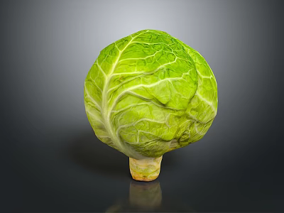 Fresh Green Cabbage with Crisp Textured Leaves on Dark Reflective Surface 3d model