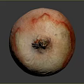 Fresh Red Onion With Red And White Skin On Gray Background Close Up View