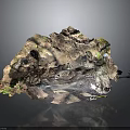 Natural Rock Formation With Cave Like Depressions Green Moss And Textured Surface