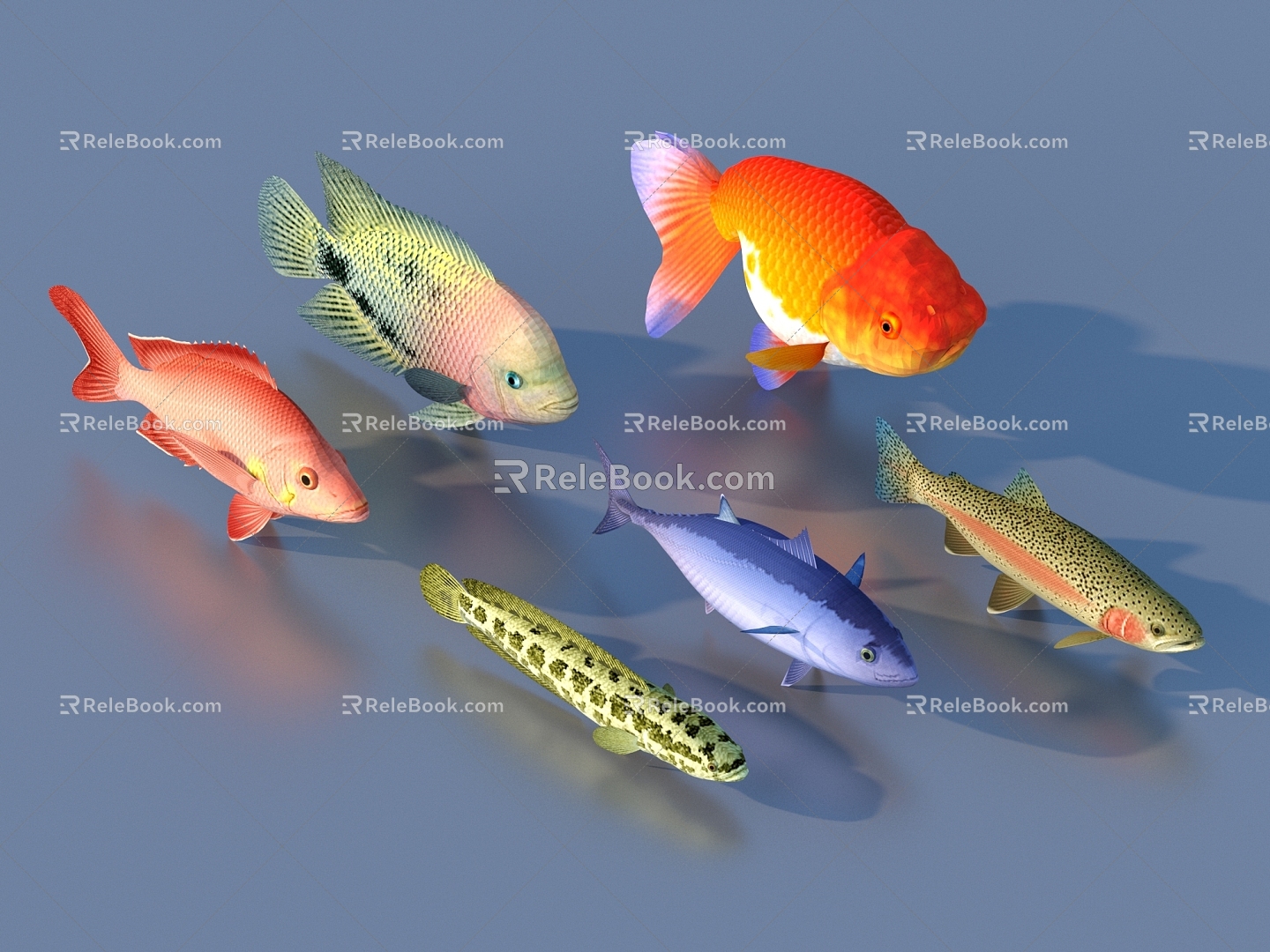 goldfish ornamental fish pet fish koi carp 3d model