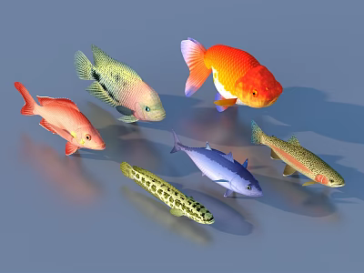Colorful Aquatic Animals Showcase With Goldfish Tropical Fish And Various Species 3d model