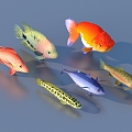 goldfish ornamental fish pet fish koi carp 3d model