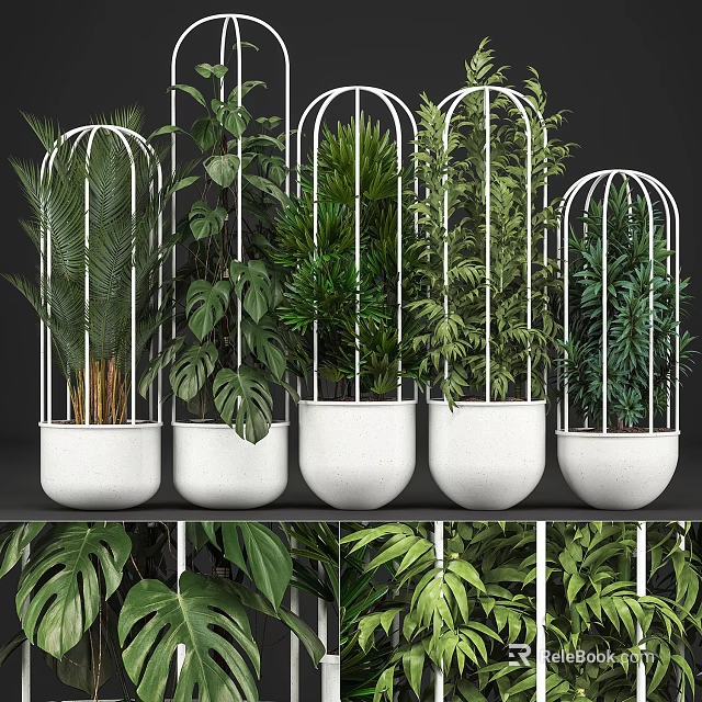 Modern Bonsai Potted Plants in White Metal Cages with Various Green Foliage Species 3d model 