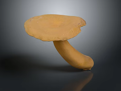 Detailed Anatomical Organ Structure With Visible Hair Follicles And Texture 3d model