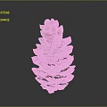 Brown Natural Pine Cone With Detailed Textured Scales Against Gray Background
