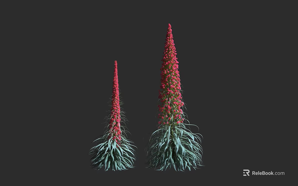 Two Red Flowers With Slender Stems Dense Red Blooms Long Green Leaves Against Black Background 3d model 