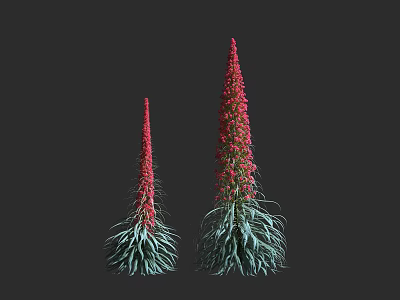 Two Red Flowers With Slender Stems Dense Red Blooms Long Green Leaves Against Black Background 3d model