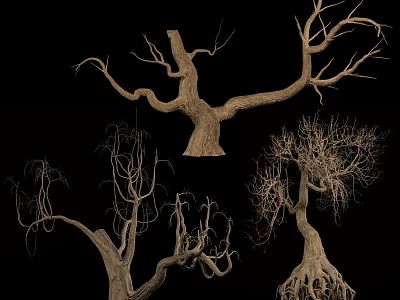 Dry Leafless Trees With Twisted Branches And Exposed Roots In Various Shapes 3d model