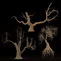 Dry Leafless Trees With Twisted Branches And Exposed Roots In Various Shapes 3d model