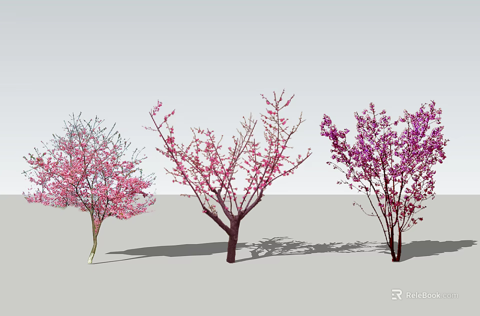 Flowering Trees With Pink Light Pink And Purple Blossoms And Branch Structures 3d model 