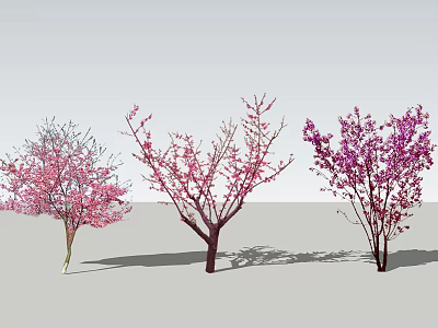 Flowering Trees With Pink Light Pink And Purple Blossoms And Branch Structures 3d model