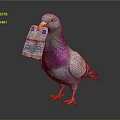 Gray White Pigeon With Purple Green Neck Holding Euro Banknote In Beak