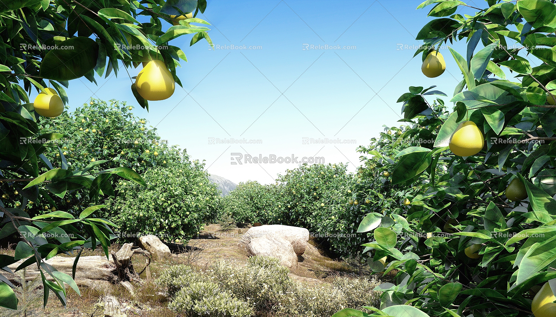 Grapefruit Tree Orchard Fruit Tree Forest Mountain Wild Grass Landscape Tree Tree 3d model