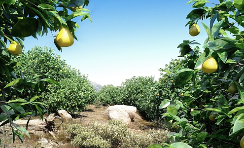 Grapefruit Tree Orchard Fruit Tree Forest Mountain Wild Grass Landscape Tree 3d model