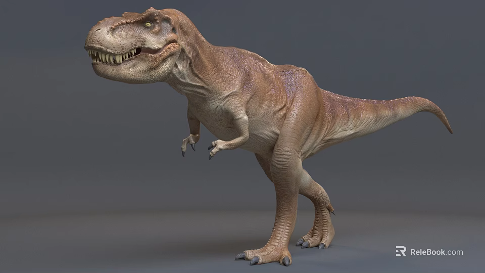 Realistic Reptile Tyrannosaurus Rex 3D Model With Standing Posture And Scaled Skin 3d model 
