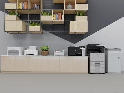 Organized Office Space With Bookshelves Books Plants And Office Appliances On Light Cabinets 3d model