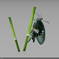 Green Winged Butterfly Perched On Two Green Straws Against Dark Background
