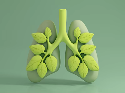 Human Lungs Green Leaf Shaped 3D Model Chest Organ Anatomical Structure Design 3d model