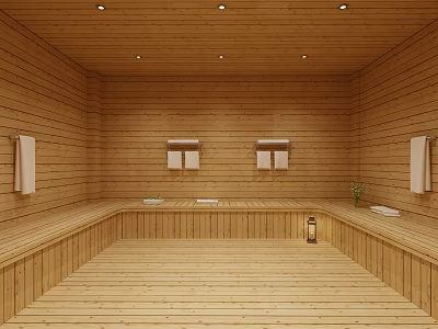 Wooden Sauna Room Interior Design With Towel Racks Seats Small Windows And Ceiling Lights 3d model
