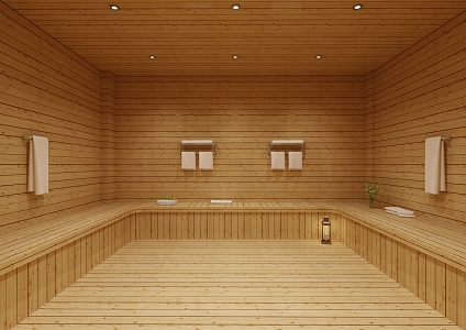 Sauna Room 3d model