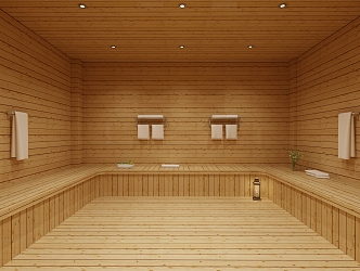 Sauna Room 3d model