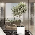 Modern Home Balcony Design with Glass Walls Wooden Flooring White Lounge Chair and Potted Plant