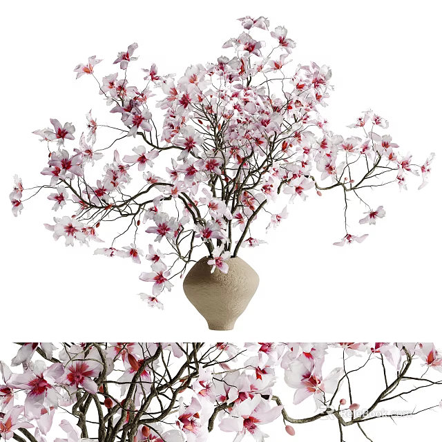Elegant Beige Vase With Pink And White Blooming Flowers And Branching Stems 3d model 