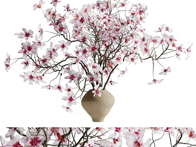 Elegant Beige Vase With Pink And White Blooming Flowers And Branching Stems 3d model
