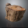 Natural Tree Stump With Rough Bark Texture And Wooden Surface Details