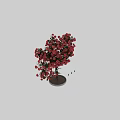 Lush Pink Flowering Arbor With Abundant Blooms And Green Foliage