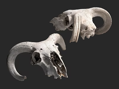 Two Horned Skull Shaped Dolls With Unique Design For Home Decor Collection 3d model