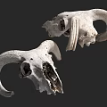 Two Horned Skull Shaped Dolls With Unique Design For Home Decor Collection
