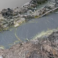 Natural Garden Landscape With Small Stream Muddy Ground And Mossy Tree Branches