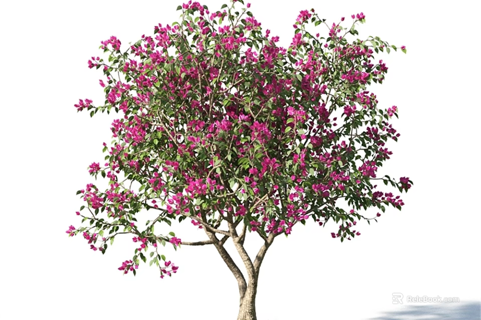 Tall Flowering Arbor With Dense Purple Blossoms And Lush Green Leaves 3d model 